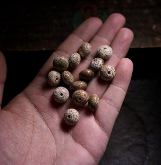 Tibetan Handmade Lotus Seeds Wrist Mala Beads